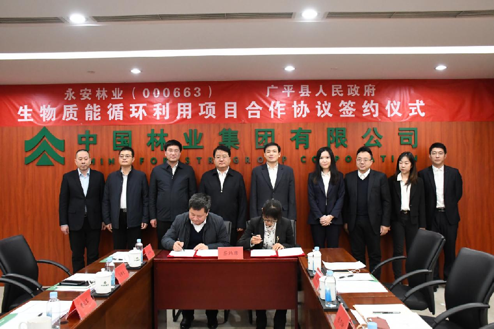 Easybet林业与广平县人民当局签署战术合作和谈