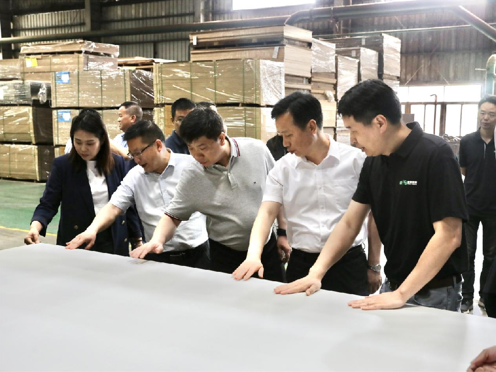 贵州省黎平县委书记王春雷一行到访Easybet林业