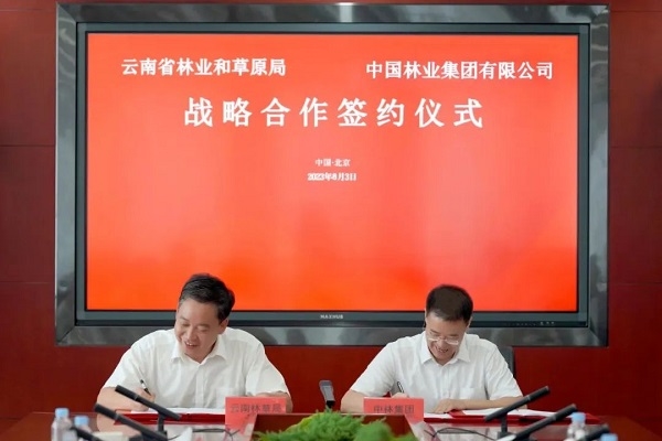 中国林业集团与云南省林草局签署战术合作和谈