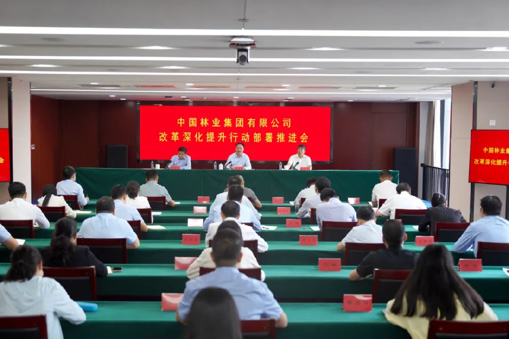 中林集团召开鼎新深入提升行动部署推动会议