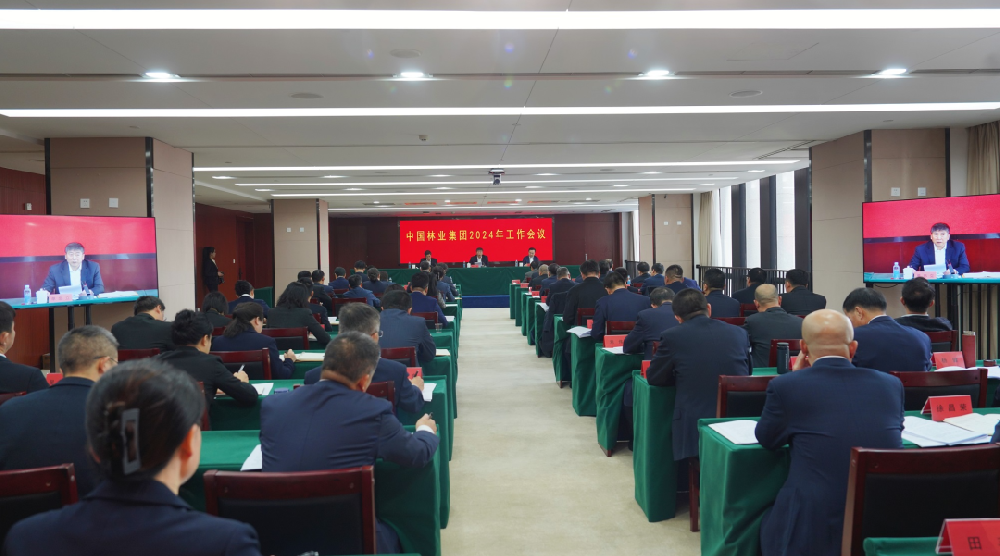 中林集团吹响以高质量党建引领保险高质量发展“集结号”