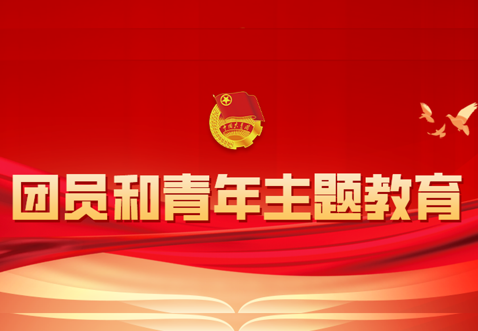 中林集团所属各团支部高质量召开团员和青年主题教育专题组织生涯会