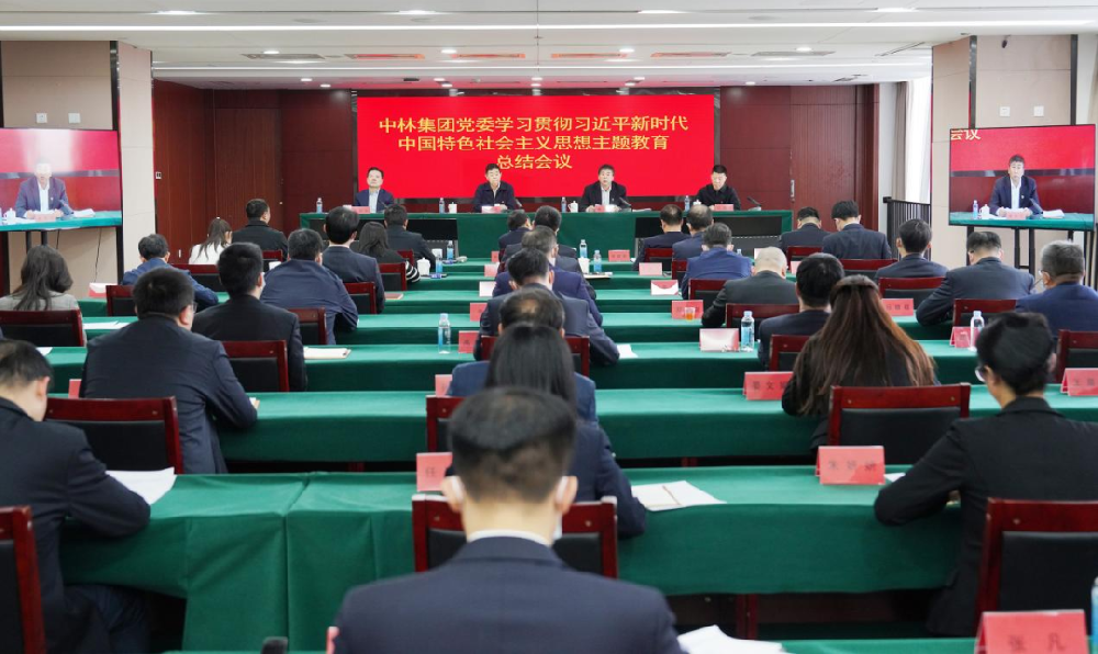 中林集团党委召开学习贯彻习近平新时期中国特色社会主义思想主题教育总结会议