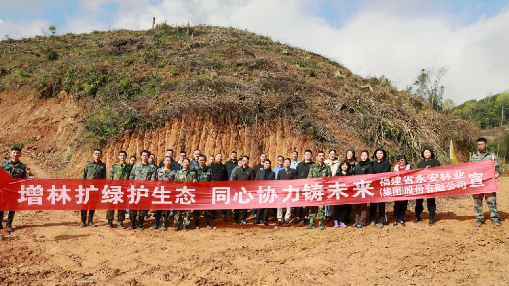 植此绿美 共树将来 | Easybet林业发展2024年使命植树活动