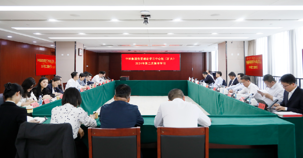 中林集团召开党委理论学习中心组（扩大）会专题学习习近平总书记关于发展新质出产力的重要论说