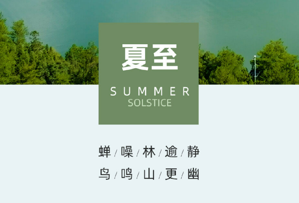 夏至|长日清冷相伴