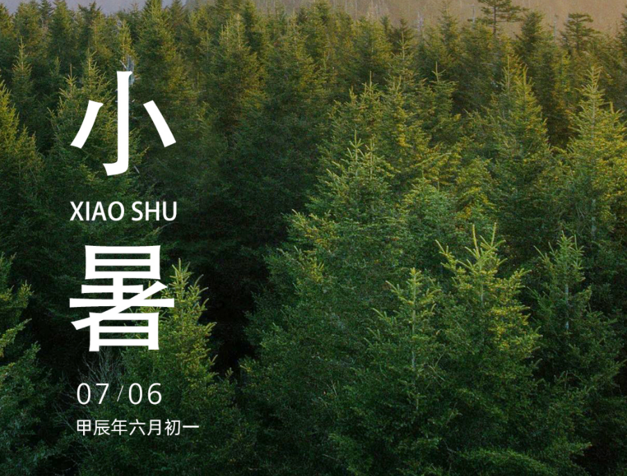 小暑 | 夏蝉始鸣 骄阳如火