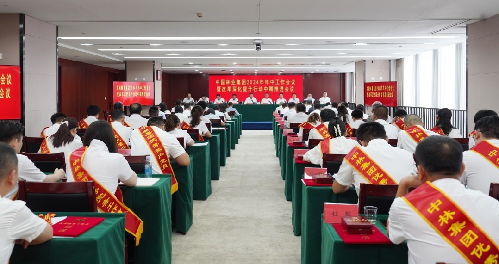 中林集团召开2024年年中工作会暨鼎新深入提升行动中期推动会