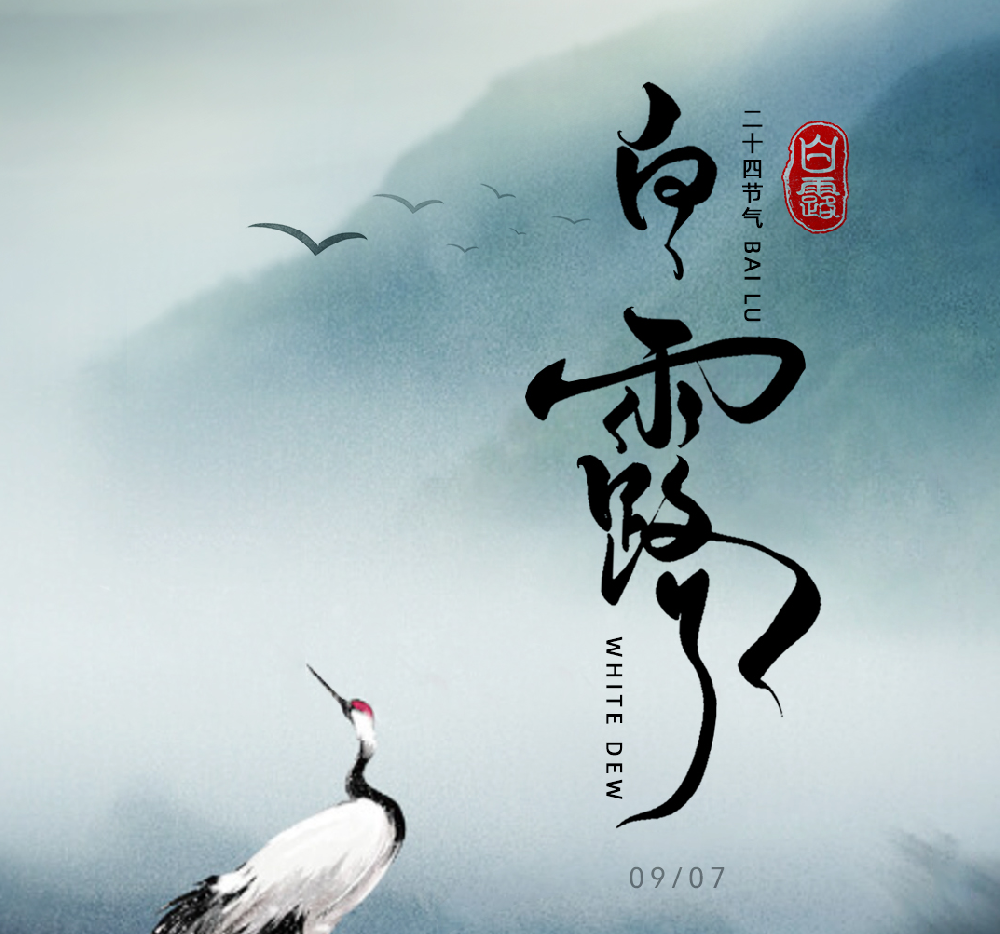 白露 | 白露渐风凉 丛林换素装