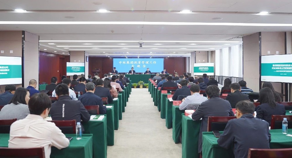 中林集团召开投资治理工作专题会