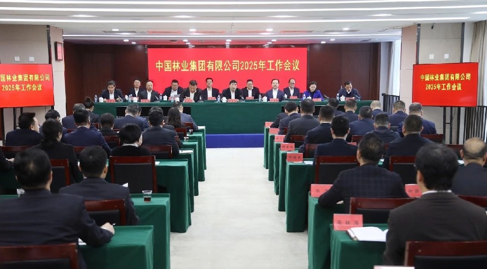 2025年：干字当头 笃定前行——以自我革命心灵推动中林集团实现彻底重塑