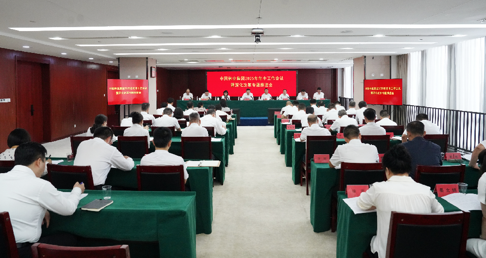 中国林业集团召开2025年年中工作会议暨深入鼎新专题推动会