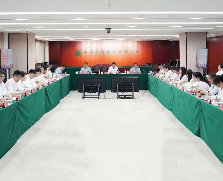 青春立功 实际砺能——中国林业集团召开总部青年干部基层实际活动成就互换会